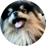 김정뷔 profile image