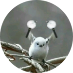 내이름은아미덕후죠 profile image