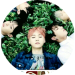 leeshmi0527 profile image