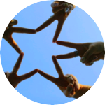 행복표캐럿 profile image