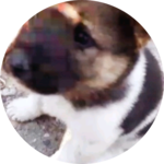 lg91942062's profile image
