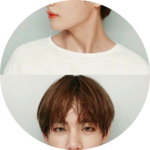 밍귤맹귤 profile image