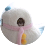 6홉홉9 profile image