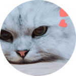 오너 profile image