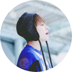 불여우 profile image