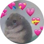 simevensimeven profile image