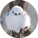 도겸이수고해 profile image