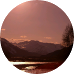 모두사랑 profile image