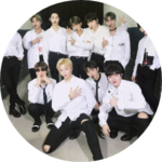 박하작가 profile image