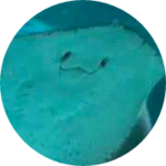 그희님인됍 profile image