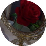 시이치 profile image