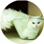 채화 profile image