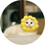 채니치즈 profile image