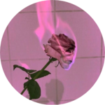 한번방탄은영원한방탄 profile image