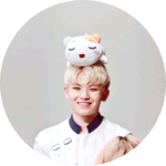 예쁘다세븐틴 profile image