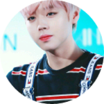 윤지박지 profile image