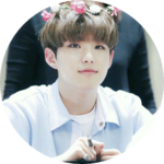 체리캐럿 profile image