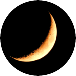 퐈뢈 profile image