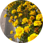 binibini741 profile image