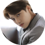 niniblossom profile image