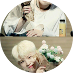 셉틴은사랑입니다 profile image