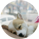 포도포도 profile image