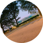 곰돌이작가 profile image