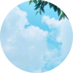 워너워너더쿠 profile image