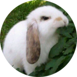 memoryscar1234's profile image