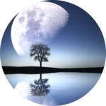 화월님 profile image