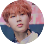 사랑을구르미품안에 profile image