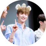 miso47244724 profile image