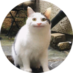 아노 profile image