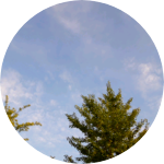 효낭123 profile image