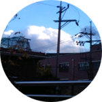 자몽폭탄 profile image