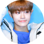 워너원이세상에서제일좋아 profile image
