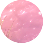 잒아 profile image
