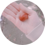 밤톨자까 profile image