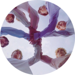 남국과ㅇㅊㄹ profile image