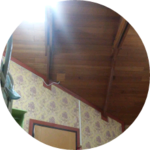 나는너인가 profile image