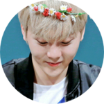부승관사랑해 profile image