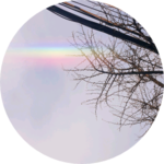 보라햄 profile image