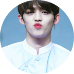 승철이꽃이피었습니다 profile image