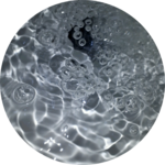 예린밈 profile image