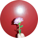 람Ram profile image