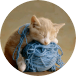 너무너무조아 profile image