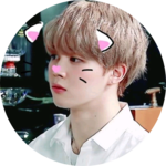 V방탄소년단부계 profile image