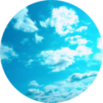 현보미 profile image