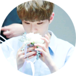 저는호시왕댯님을지켜여 profile image