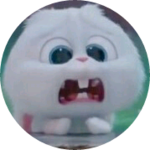 토껭자까 profile image